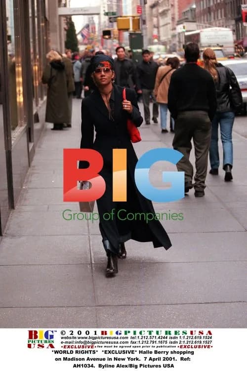 Halle Berry Shopping in New York