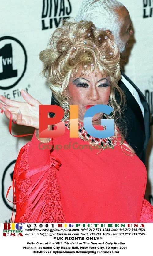 Celia Cruz at VH1 'Diva's Live' event