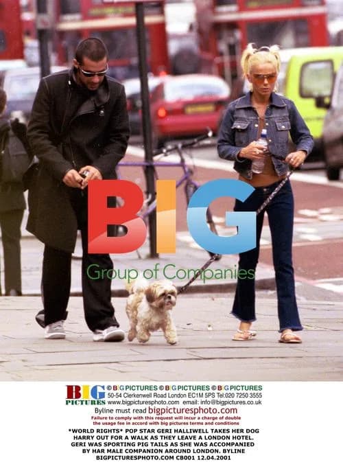 Geri Halliwell takes dog Harry for walk
