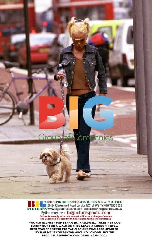 Geri Halliwell Takes Dog Harry for Walk in London