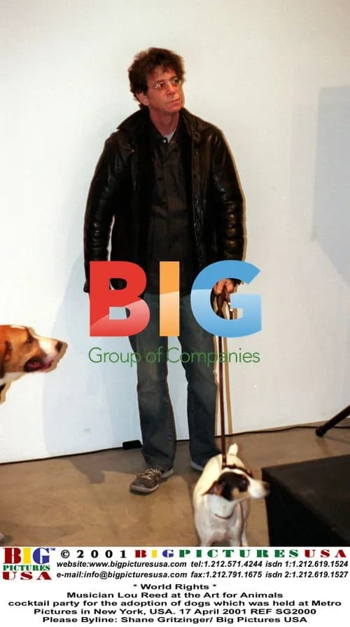 Lou Reed at Art for Animals dog adoption party
