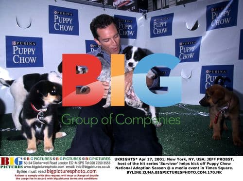 Jeff Probst Kicks Off Puppy Adoption Season