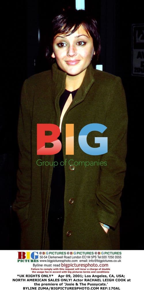 Rachael Leigh Cook at 'Josie & The Pussycats' premiere