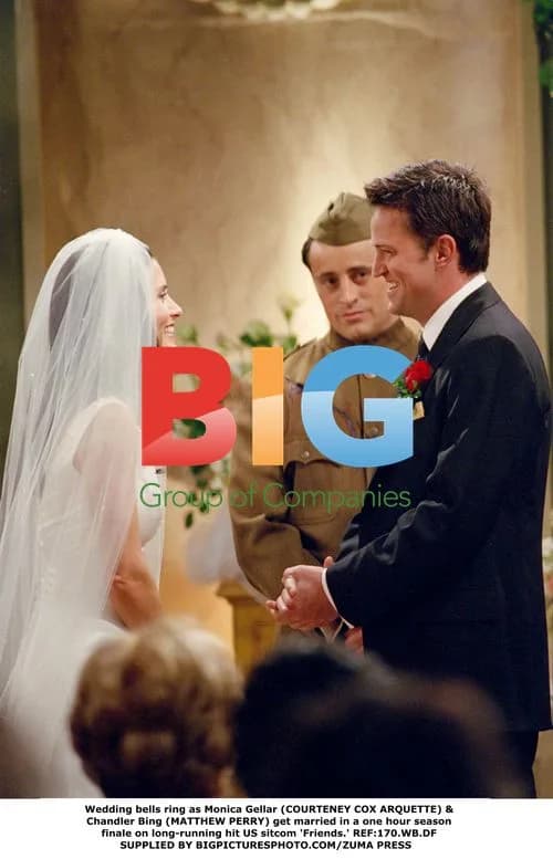 Monica & Chandler's Wedding on 'Friends'