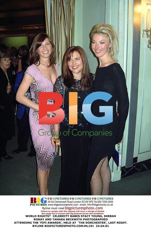 CELEBRITY BABES AT FIFI AWARDS