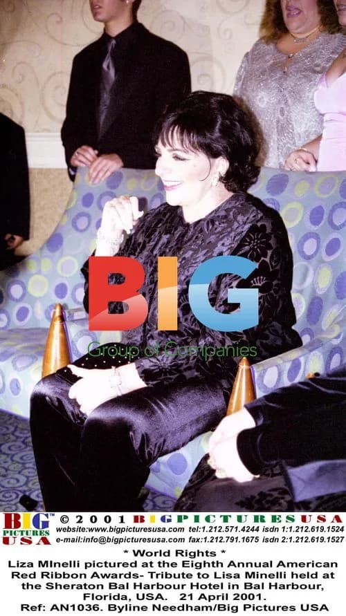 Liza Minelli at American Red Ribbon Awards