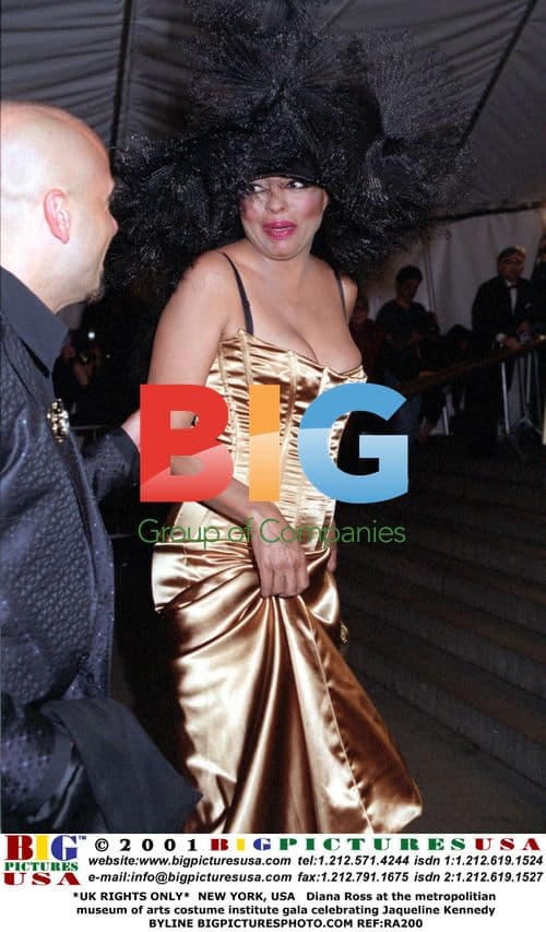 Diana Ross at Jacqueline Kennedy Costume Gala