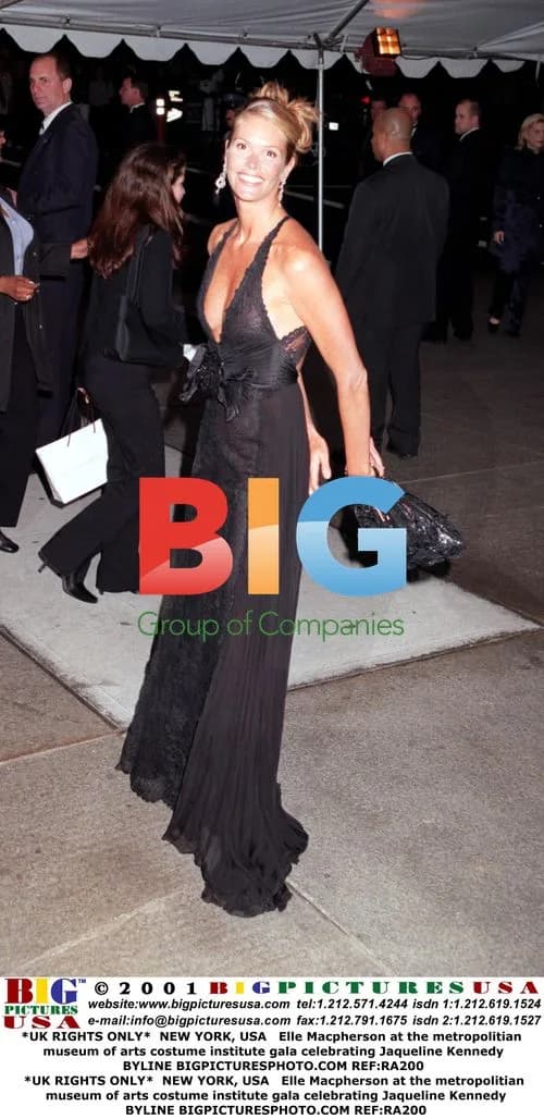 Elle Macpherson at Kennedy-Themed Met Gala