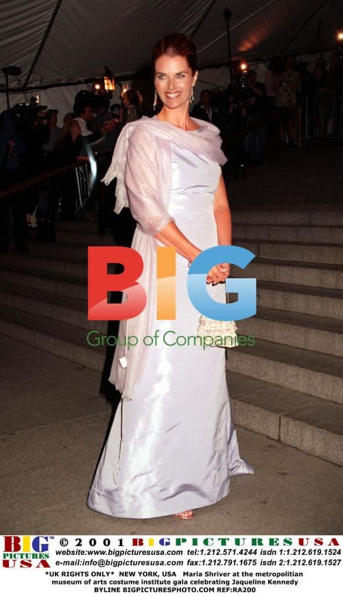 Maria Shriver at Met Gala
