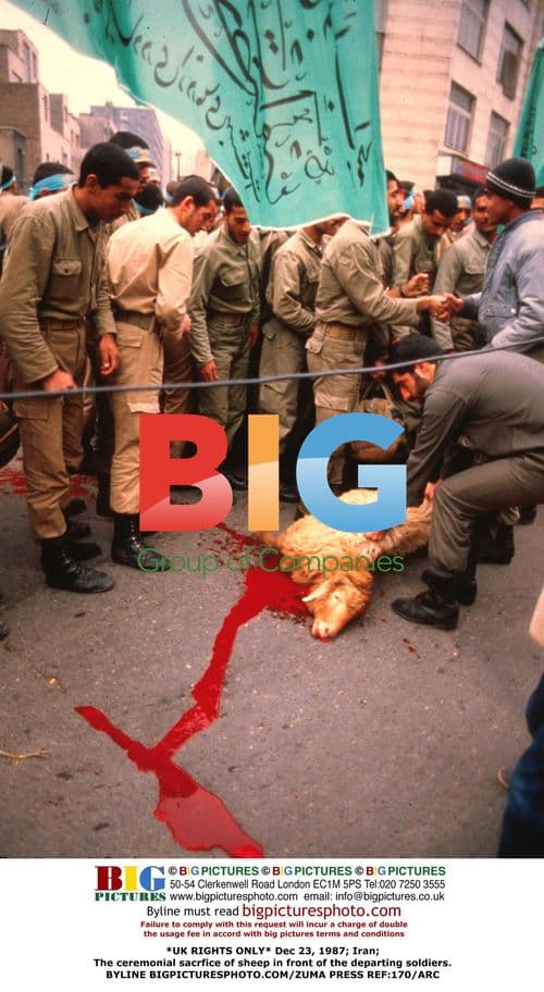 Iranian Soldiers View Ceremonial Sheep Sacrifice