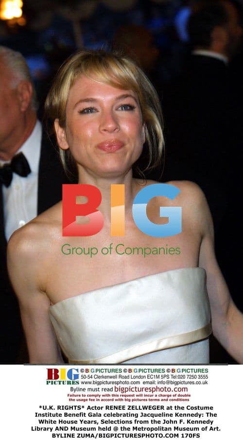 Renee Zellweger at Costume Institute Benefit Gala