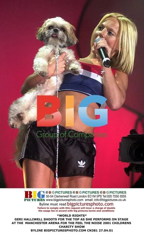 Geri Halliwell Performs at Children's Charity Show