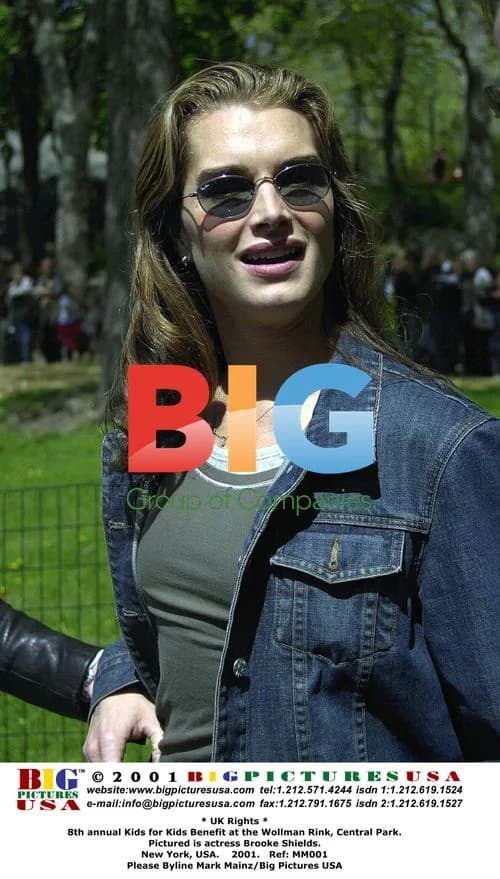 Brooke Shields at Kids for Kids Benefit