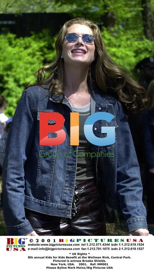 Brooke Shields at Kids for Kids Benefit