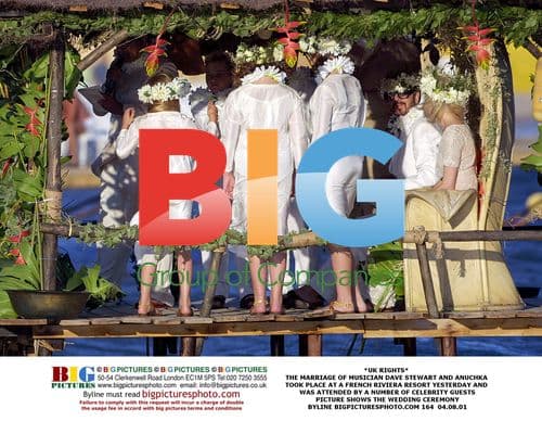 Dave Stewart and Anuchka's Wedding