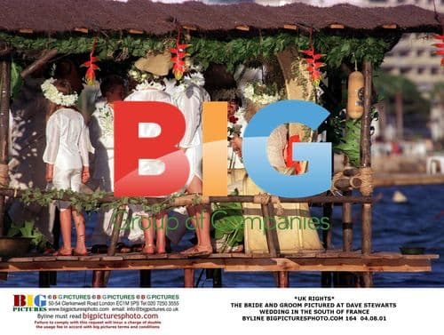 Dave Stewart's Wedding in France