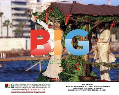 Wedding of Dave Stewart in France