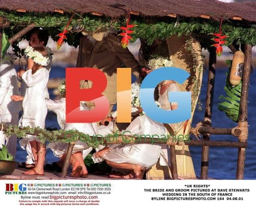 Dave Stewart's Wedding in France