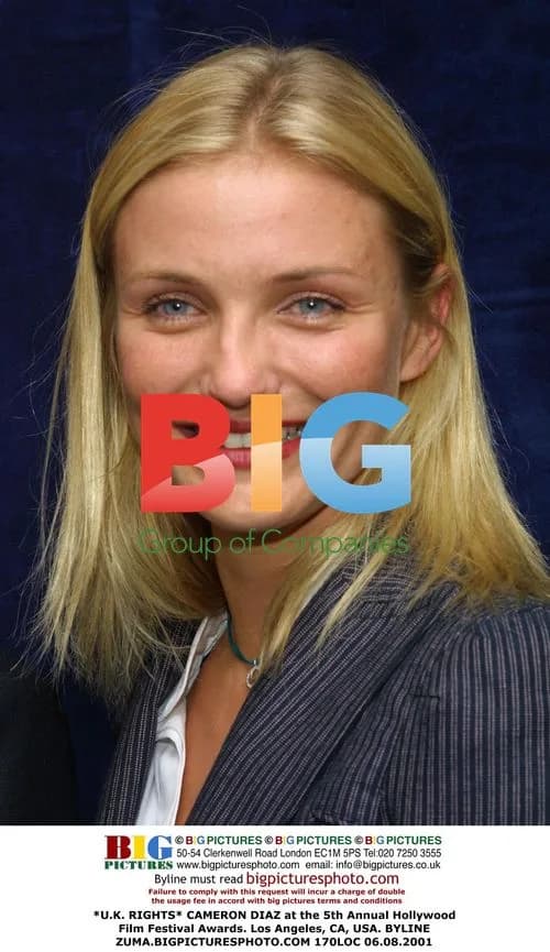 Cameron Diaz at Hollywood Film Festival Awards