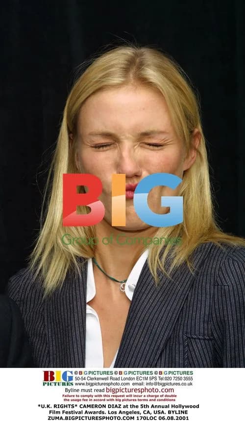Cameron Diaz at Hollywood Film Festival Awards