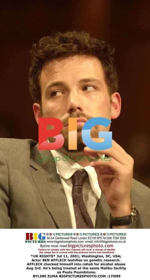 Ben Affleck Testifies on Capitol Hill