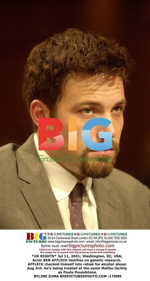 Ben Affleck Testifies on Capitol Hill