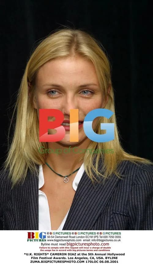 Cameron Diaz at Hollywood Film Festival Awards