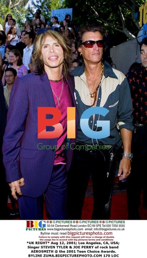 Aerosmith Members at Teen Choice Awards