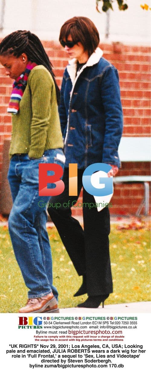 Julia Roberts in 'Full Frontal'