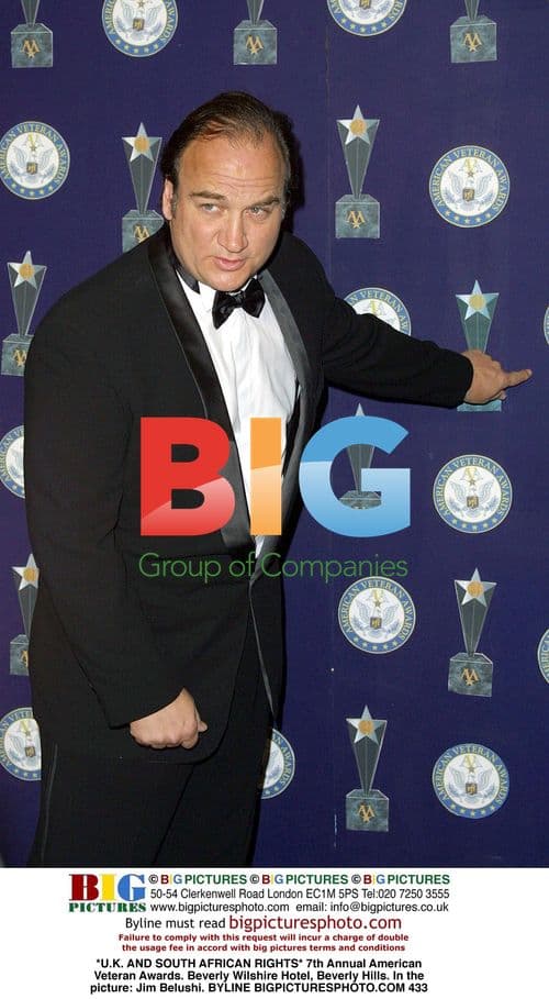 Jim Belushi at American Veteran Awards