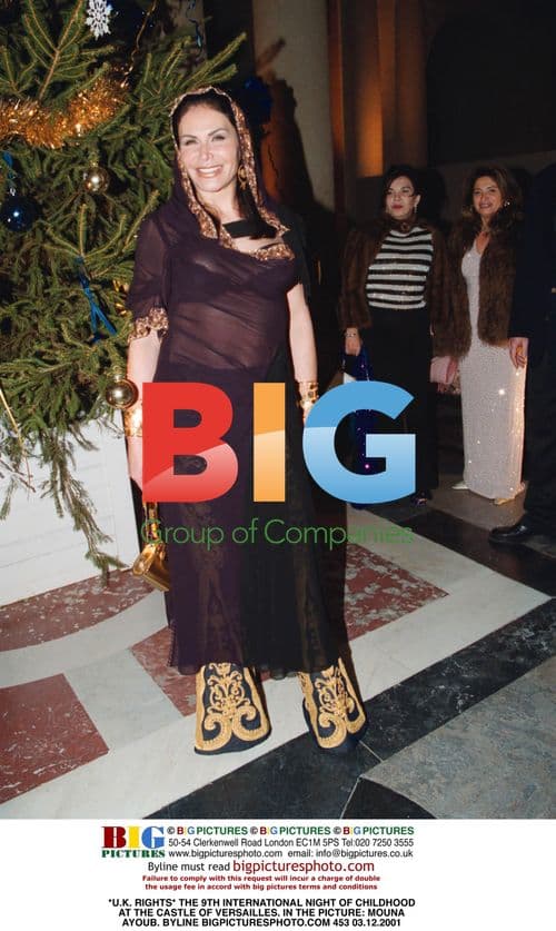 Mouna Ayoub at Night of Childhood Event