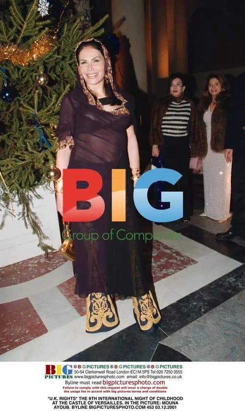 Mouna Ayoub at Night of Childhood Event