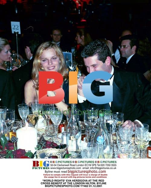 Eva Herzigova at Red Cross Benefit