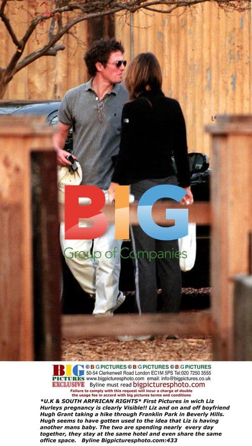 Liz Hurley and Hugh Grant Spotted Together