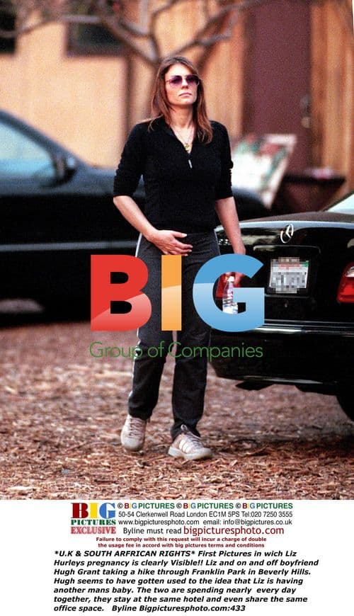 Liz Hurley and Hugh Grant spotted together