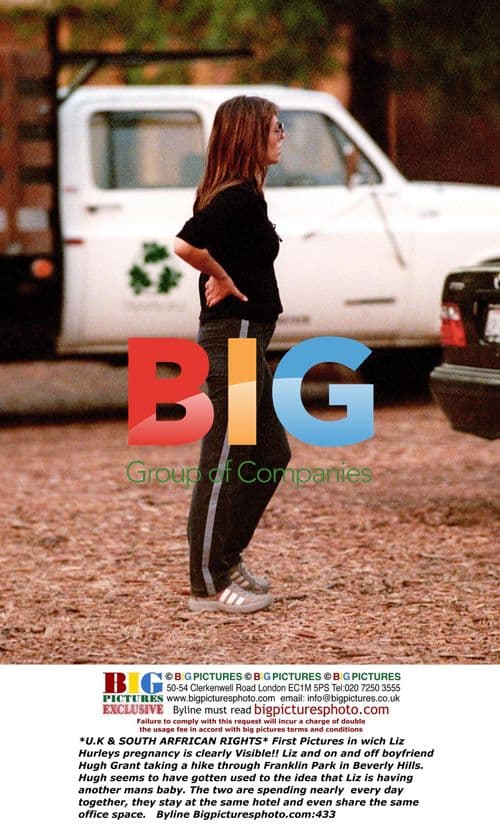 Liz Hurley's Pregnancy Visible