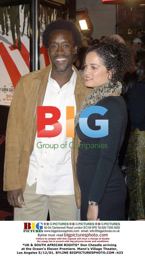 Don Cheadle at Ocean's Eleven Premiere