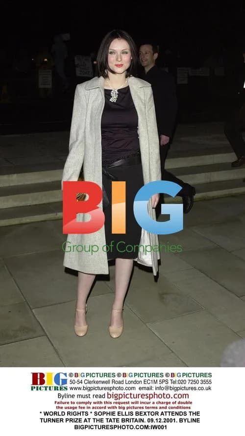 Sophie Ellis Bextor attends Turner Prize at Tate Britain
