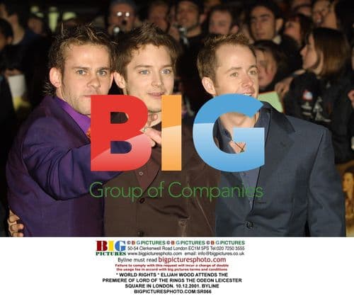 Elijah Wood at Lord of the Rings Premiere