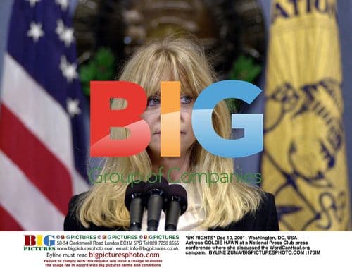 Goldie Hawn Discusses WordCanHeal.org