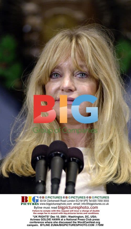 Goldie Hawn at National Press Club Press Conference