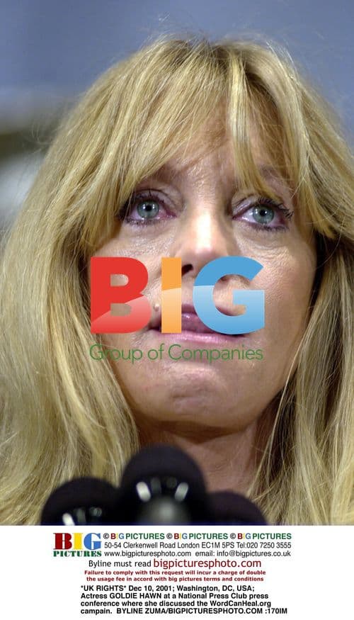 Goldie Hawn at National Press Club Conference