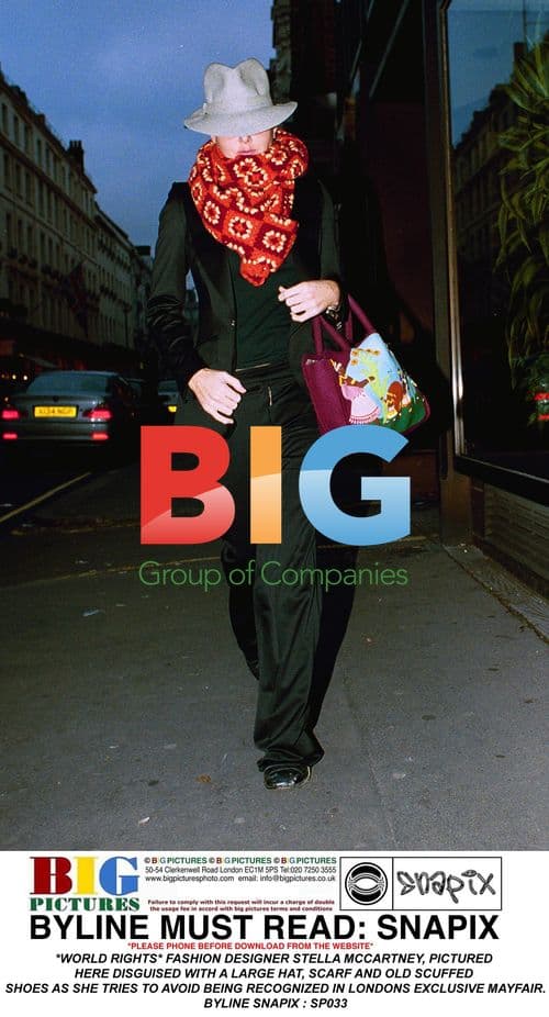 Stella McCartney Disguise in Mayfair