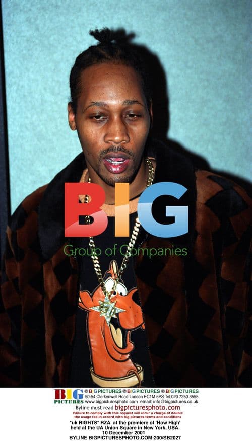 RZA at 'How High' premiere in NYC