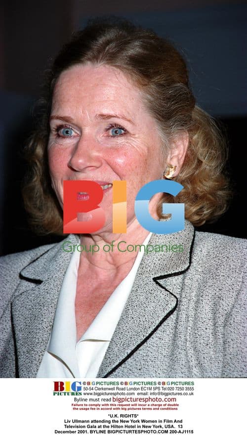 Liv Ullmann at New York Women in Film And Television Gala
