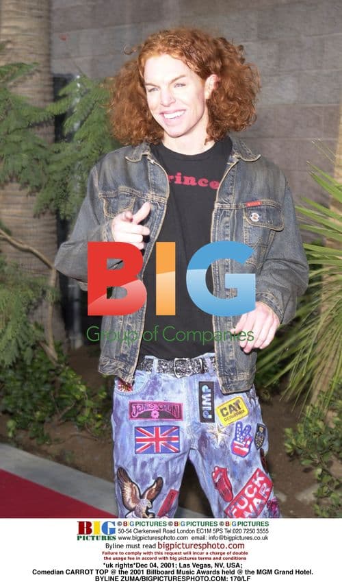 Carrot Top at 2001 Billboard Music Awards