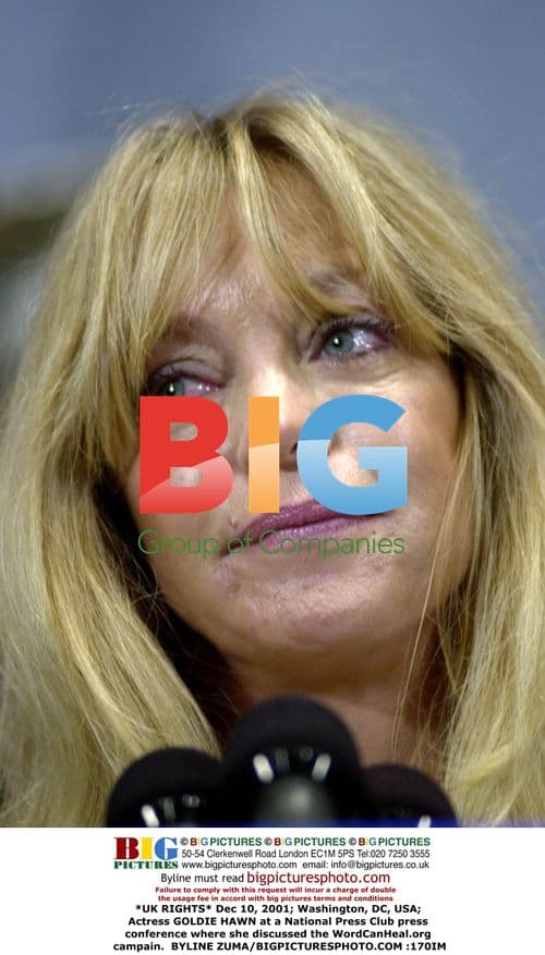 Goldie Hawn Discusses WordCanHeal.org