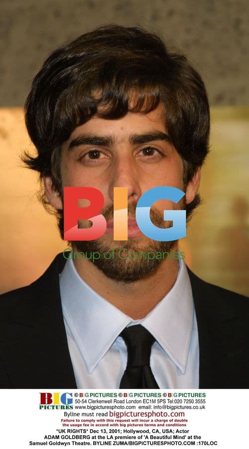 Adam Goldberg at 'A Beautiful Mind' Premiere