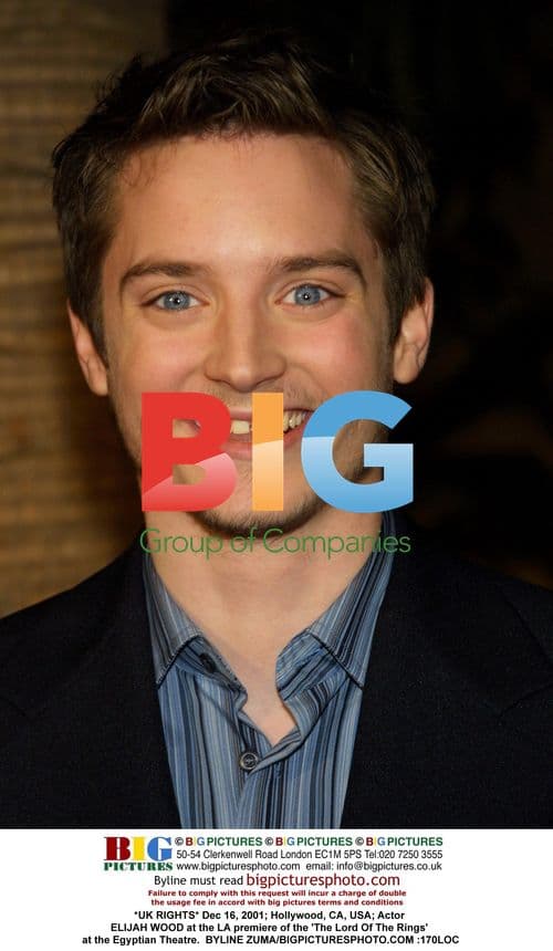 Elijah Wood at 'The Lord Of The Rings' LA premiere