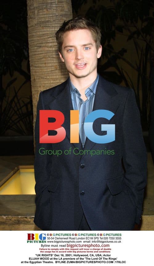 Elijah Wood at 'The Lord Of The Rings' LA premiere